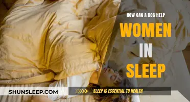 Dogs as Sleep Companions: Enhancing Women's Rest and Relaxation