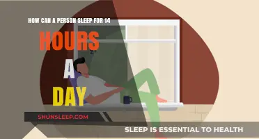 Unlocking the Secrets of Productive Power Naps: A Guide to Rejuvenation