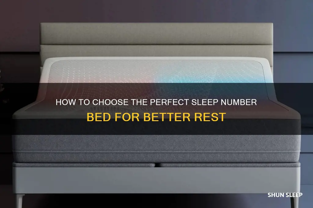 how can i get a sleep um er bed