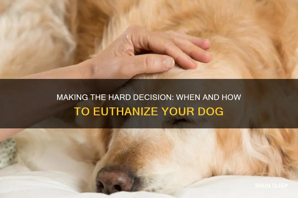 how can i get my dog put to sleep
