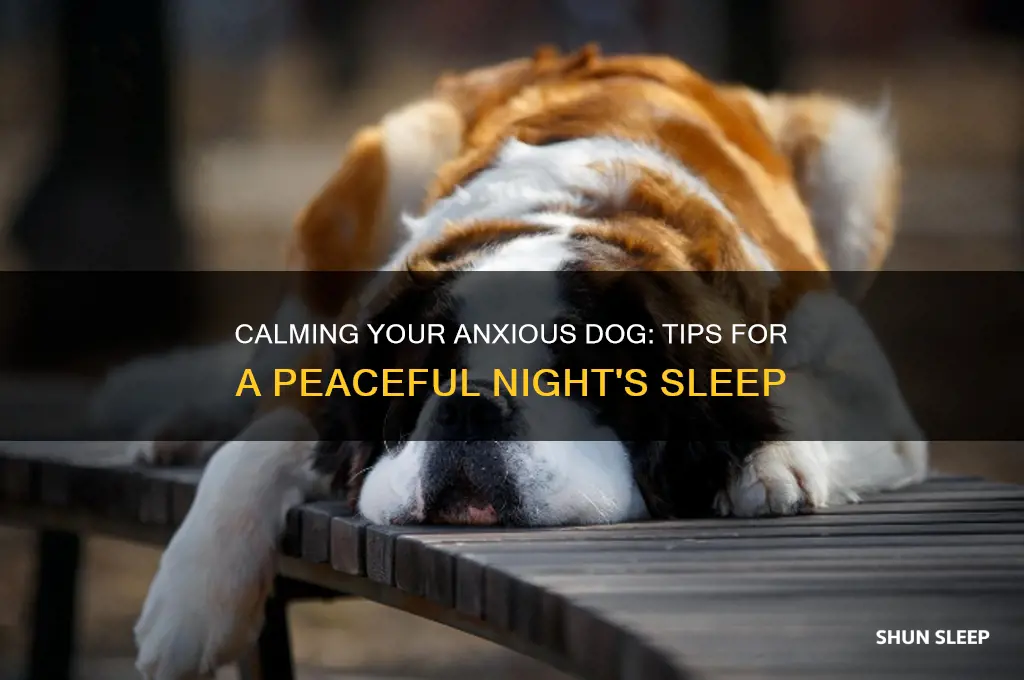 how can i help my anxious dog sleep