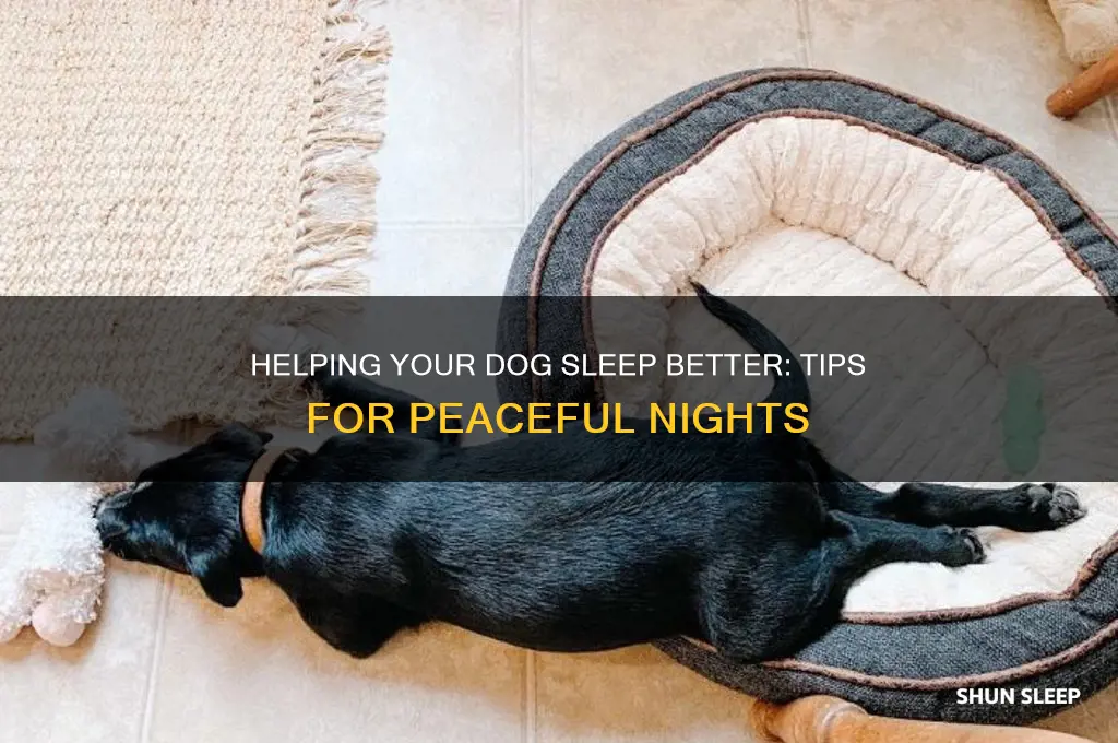 how can i help my dog sleep at night
