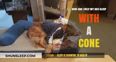 Helping Your Dog Sleep Comfortably with a Cone: Tips and Tricks