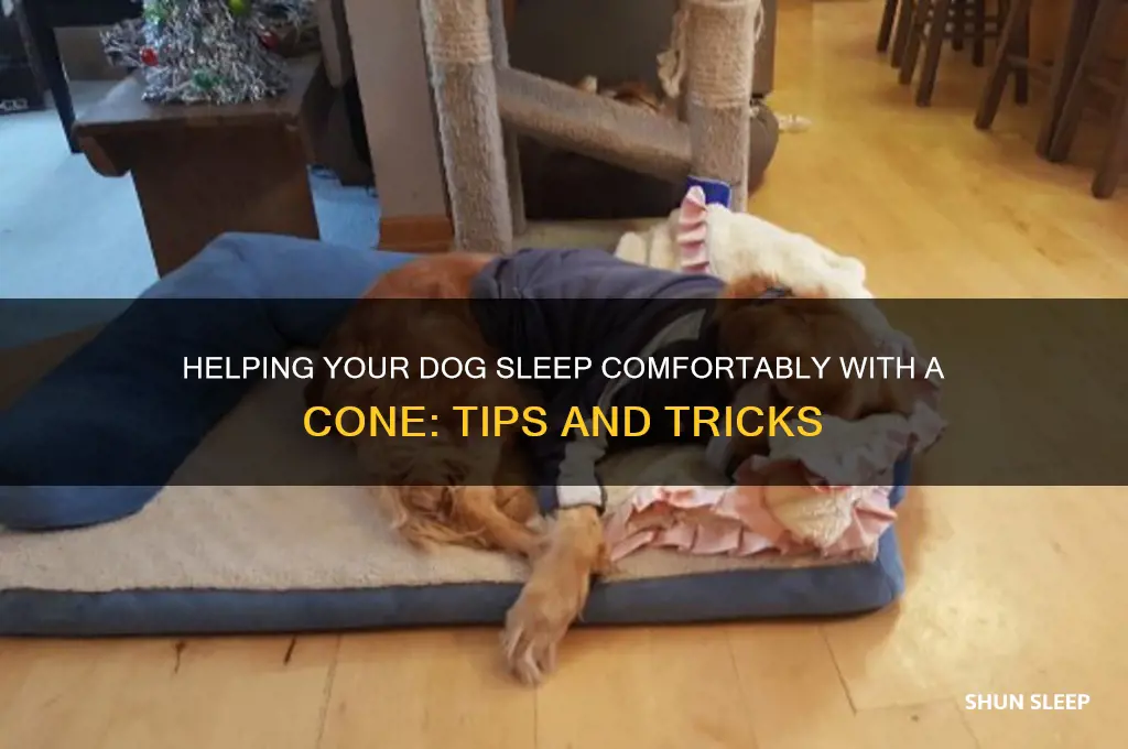 how can i help my dog sleep with a cone