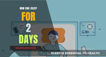 Catching Up on Sleep: Strategies for a 48-Hour Slumber