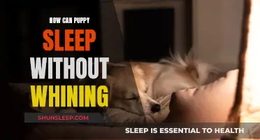 Puppy Sleep Training: Stop Whining, Start Napping