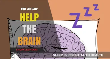 Sleep's Power: Unlocking Brain Health, Memory, and Cognitive Performance