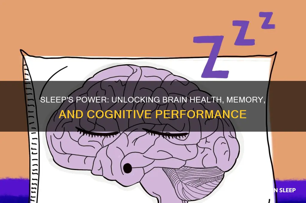 how can sleep help the brain