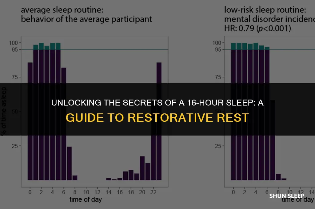how can someone sleep for 16 hours