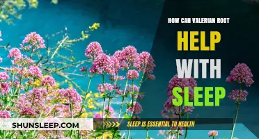 Valerian Root: A Natural Sleep Aid for Better Rest