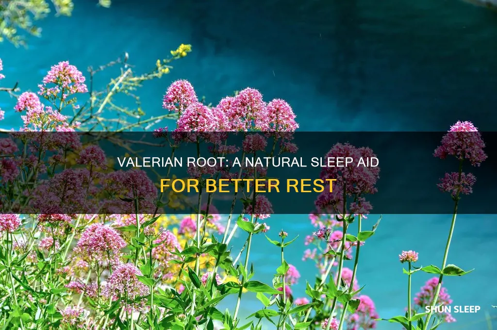 how can valerian root help with sleep