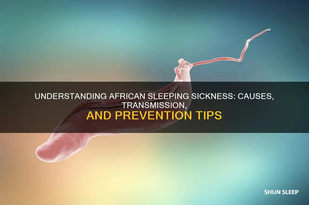 how can you get african sleeping sickness