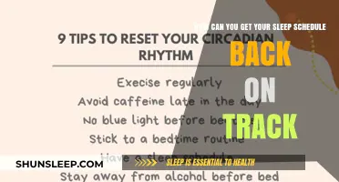 Reset Your Sleep: Tips to Realign Your Schedule Naturally
