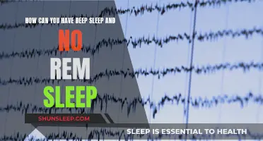 Deep Sleep, No REM: What Does It Mean?