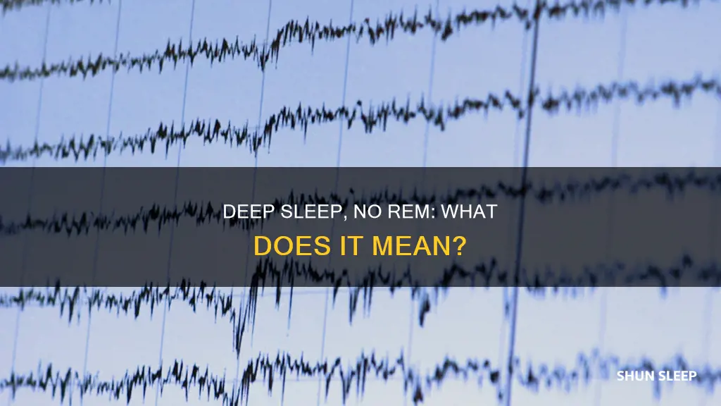 how can you have deep sleep and no rem sleep