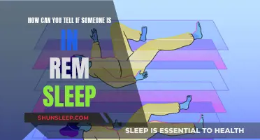 Recognizing REM Sleep: Signs and Brain Activity