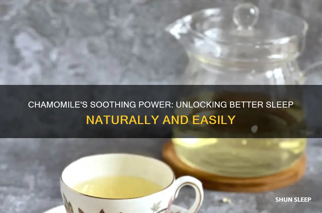 how chamomile helps you sleep
