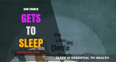 Charlie's Bedtime Routine: Secrets to a Peaceful Night's Sleep