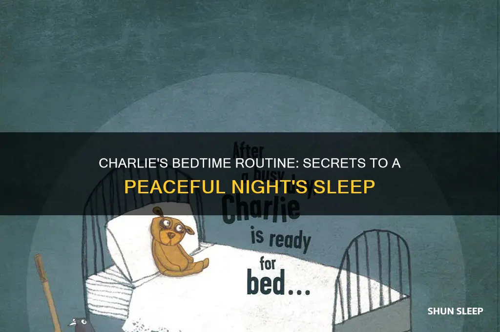 how charlie gets to sleep