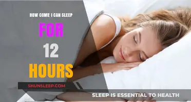 Unlocking the Secrets of Productive Rest: Why 12 Hours of Sleep Might Be Your Key