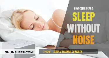 Finding Peace in Noise: A Sleep Conundrum