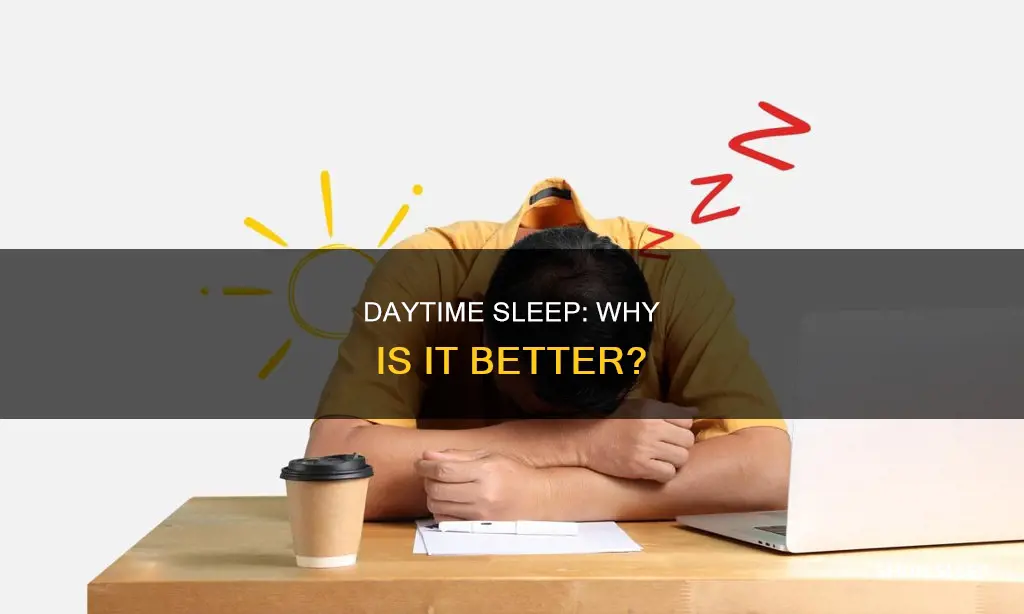 how come i sleep better during the day