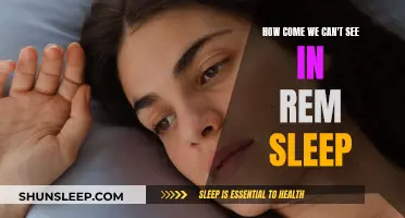 The Mystery Behind Blindness in REM Sleep