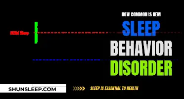 Understanding Prevalence of REM Sleep Behavior Disorder