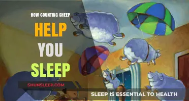 Counting Sheep: The Surprising Sleep Hack That Really Works