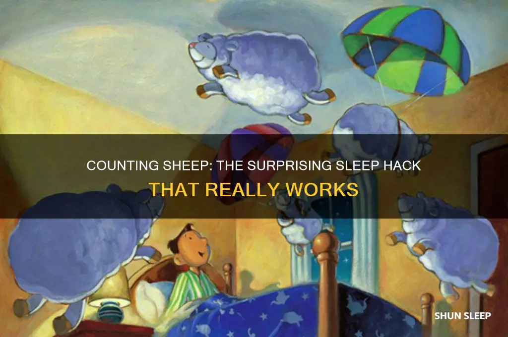 how counting sheep help you sleep