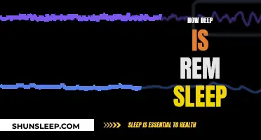 Exploring the Depths of REM Sleep: Understanding Its True Nature