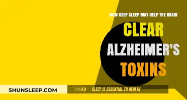 Deep Sleep's Role in Clearing Alzheimer's Toxins from the Brain