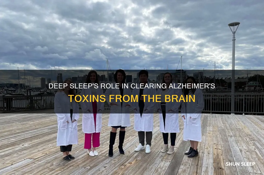 how deep sleep may help the brain clear alzheimer