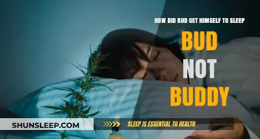 Bud's Bedtime Strategies: Unraveling His Sleep Secrets in Bud, Not Buddy