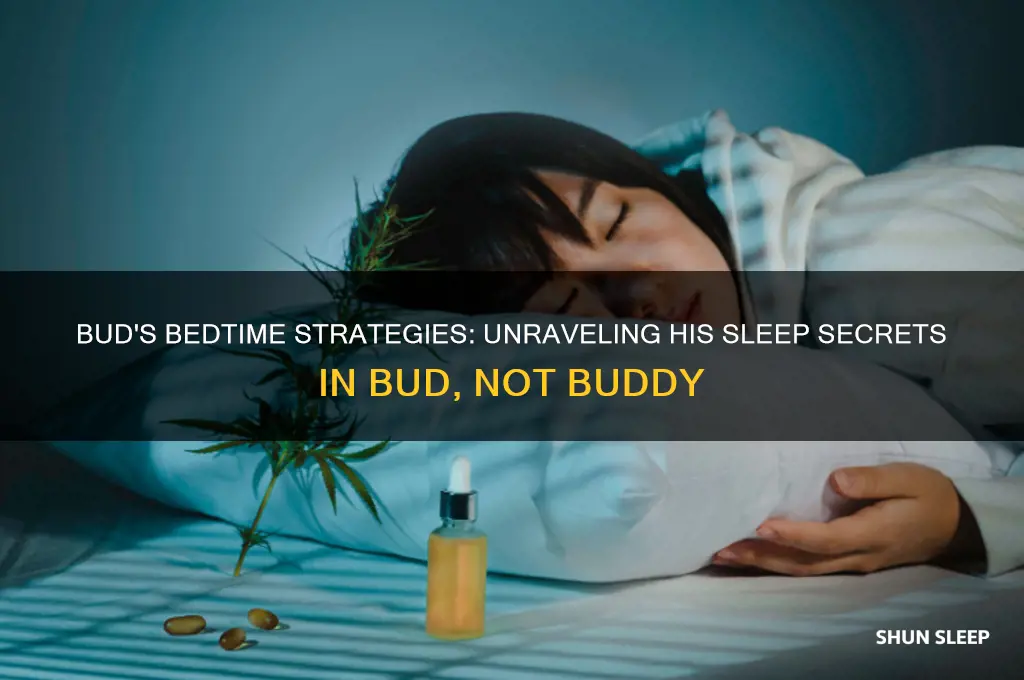 how did bud get himself to sleep bud not buddy