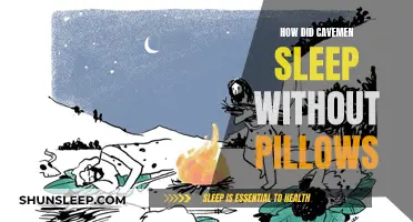 The Evolution of Sleep: Cavemen's Natural Slumber