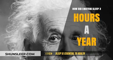 Unraveling the Myth: Einstein's Sleep Habits and Productivity Secrets