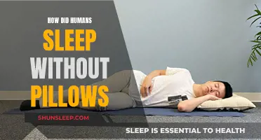 The Evolution of Sleep: Pillows and Human History