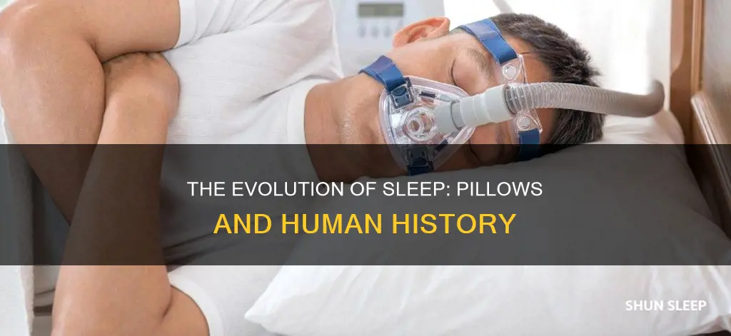 how did humans sleep without pillows