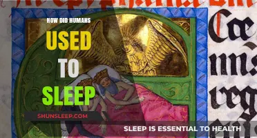 Sleep Through the Ages: Ancient Human Sleep Habits