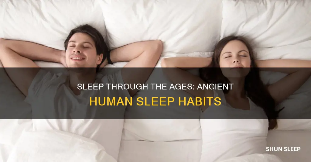 how did humans used to sleep