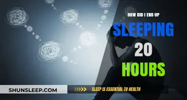 From Exhaustion to Excess: My Journey to 20 Hours of Sleep