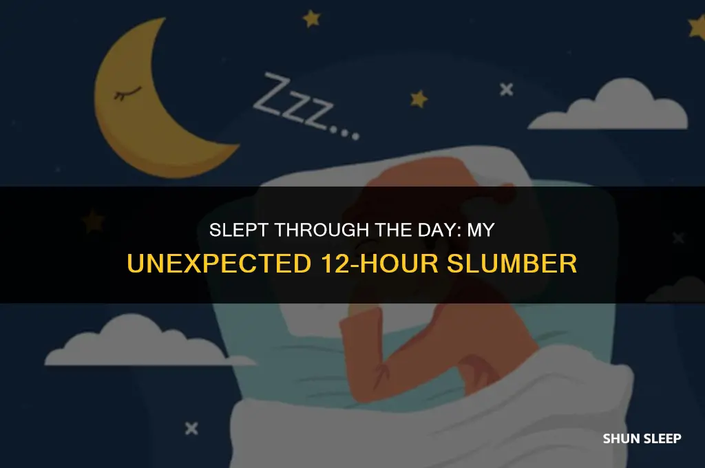 how did i just sleep for 12 hours