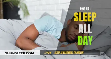 Sleep All Day: A Guide to Understanding Oversleeping