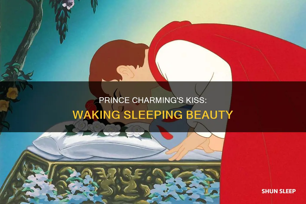 how did prince charming wake sleeping beauty