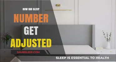 How Sleep Number Adjusted to Dominate the Mattress Industry