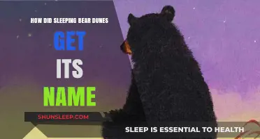 The Legend Behind Sleeping Bear Dunes' Name Revealed
