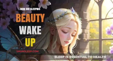 The Magic Kiss: How Sleeping Beauty Woke Up