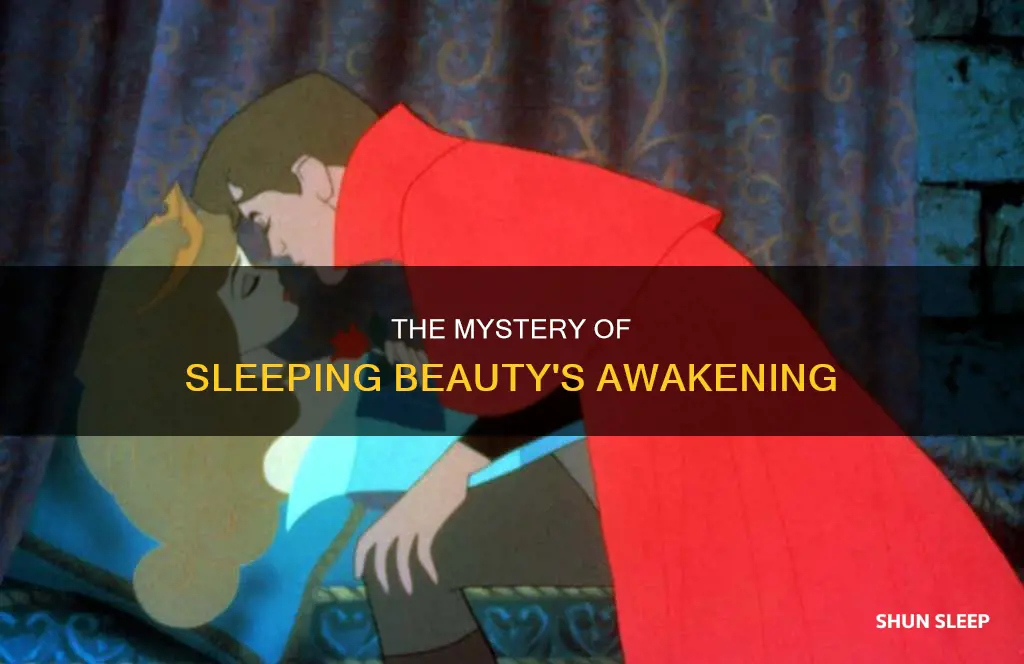 how did sleeping beuty wake up in the book