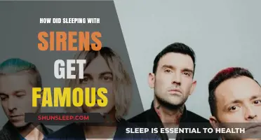 Sleeping With Sirens' Rise to Fame: A Journey to Success